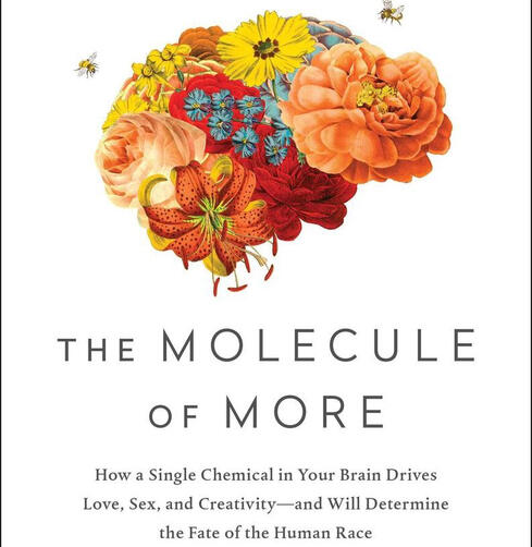molecule of more molecule of more