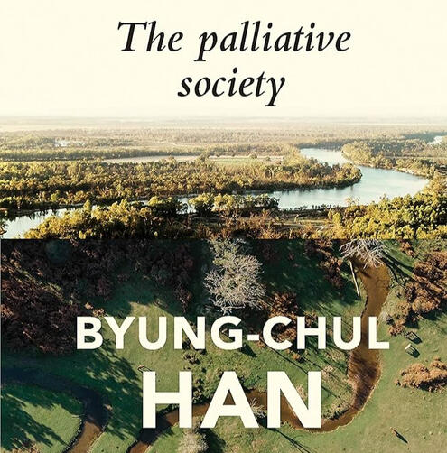 the palliative society